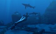Tomb Raider Underworld 8 Tomb Raider Underworld 8