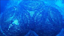 Tomb Raider Underworld   Image 15