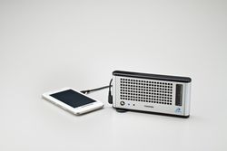 Toshiba Dynario DFMC 01