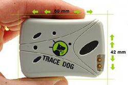 tracedog