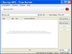 True Burner 4