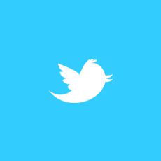 twitter_bird