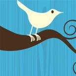 Twitter logo pro