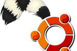 Ubuntu_13p04_Raring_Ringtail-GNT