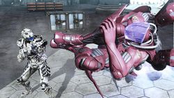 Vanquish - 16