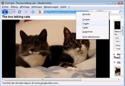 VDownloader 1
