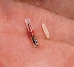 VeriChip implant rfid