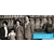 Twitter : concours de photos en famille pour Versailles