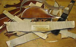 Violon