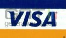 Visa international logo
