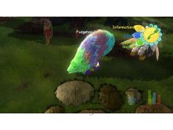 Viva Pinata