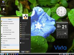 Vixta D