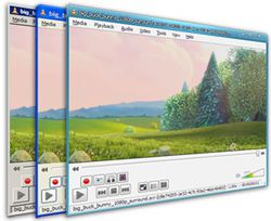 VLC media player 1.1