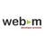 Codec vidéo : VP8 libéré dans WebM face à H.264