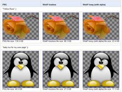 WebP-PNG
