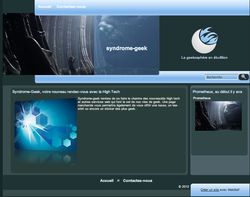 WebSelf_exemple_site_créé