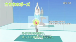 Wii Fit   12