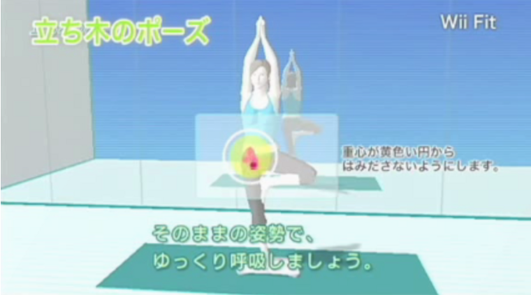 Wii Fit - 12