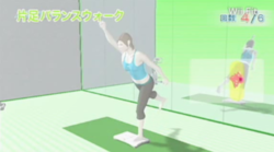 Wii Fit   3