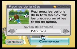 Wii Fit (51)