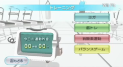 Wii Fit   5