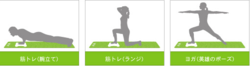 Wii Fit Mat   1