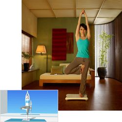 Wiifit 5
