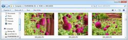 Win-7-orientation-images-exif