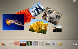 Windows_7_Surface_Collage