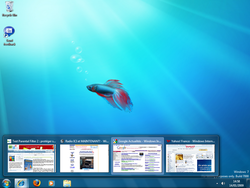 winseven03 Jan. 14 14.58