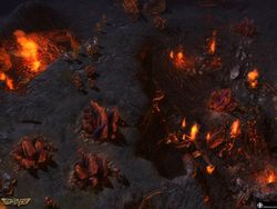 WorldShift   Image 5