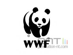 wwf logo