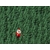 Xmasman : un thème pour décorer votre PC pour les fêtes de noël