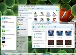 WINDOWBLINDS 6.0: THE TOTAL ONE FOR VISTA | SOFTWARE NEWS, TECHS