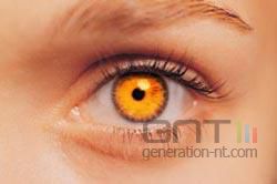 Yeux Yeux